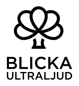 thumbnail_Blicka_logo_text_under_550x600